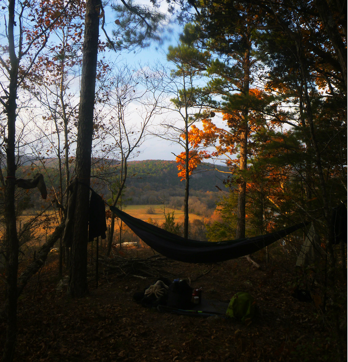 Hammock Over Buffalo National River